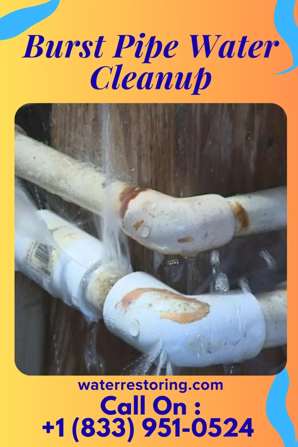 Burst Pipe Water Cleanup in Greenwood, NE