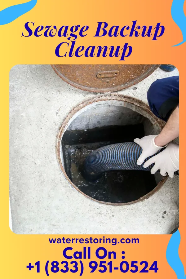 Sewage Backup Cleanup in Greenwood, NE
