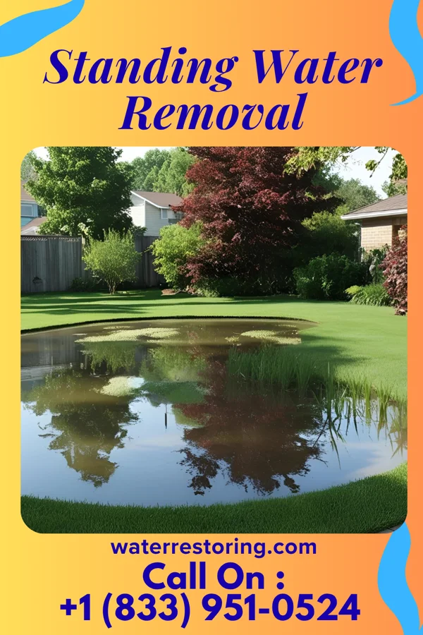 Standing Water Removal in Greenwood, NE